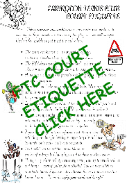 Court Etiquette thumb